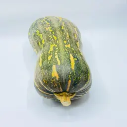 Dabbah Squash